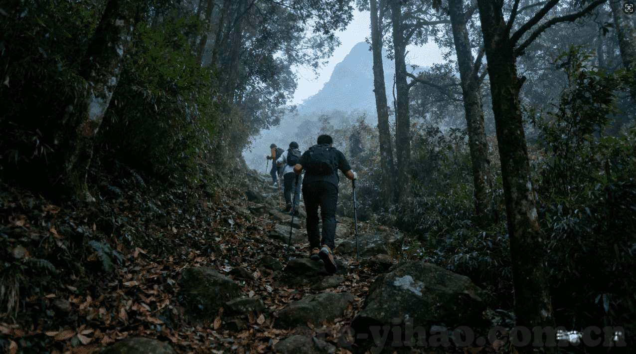 怎么下载德州纸牌扑克-德州纸牌扑克下载指南，掌握基本步骤与注意事项